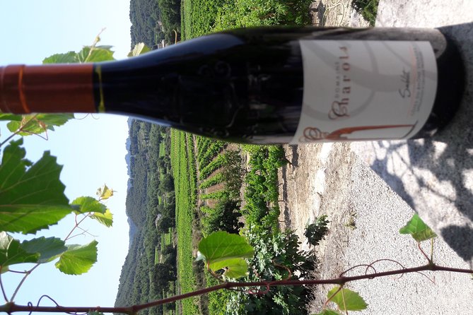 Wine Tasting in Sablet - Local Terroir