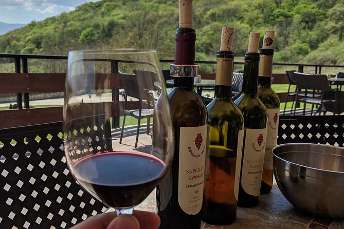 Wine Tasting Tour in Georgias Cradle of Wine - Accessibility and Requirements