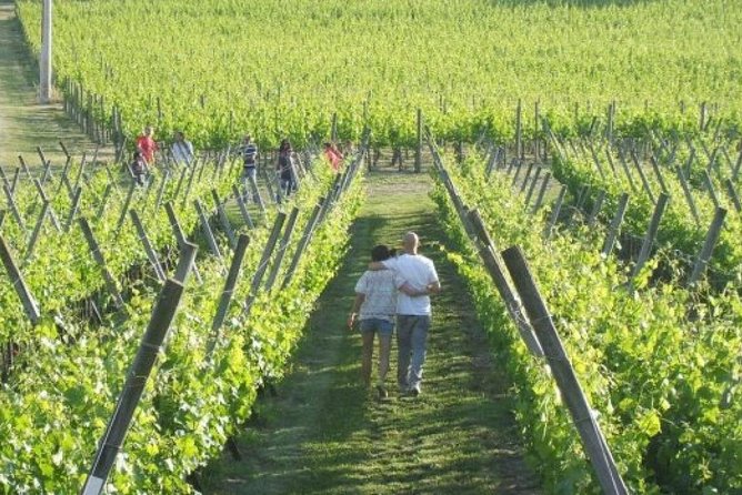 Wine Tasting & Tour Premium - Customer Support