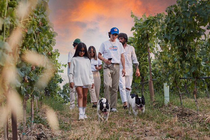 Wine Tour and Tasting of Lugana Wines in Desenzano - Participant Information