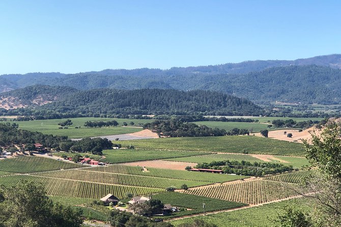 Wine Tour, Enjoy a Wonderful Day in Napa or Sonoma Wine Country. Private Driver - Accessibility Features