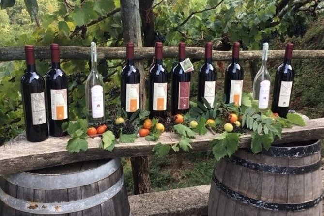 Wine Tour (Lunch Included) - The Sum Up