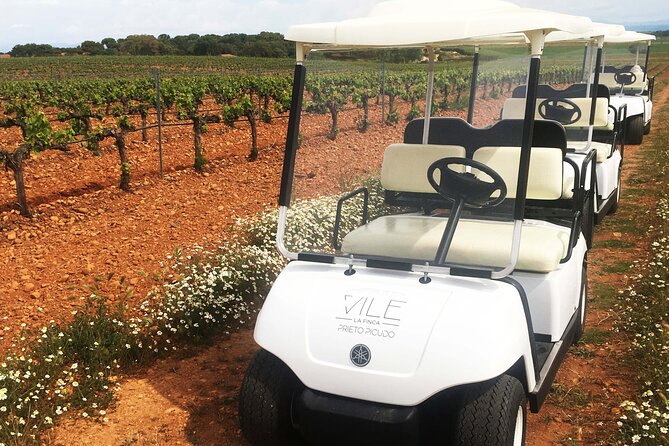Wine Tourism: Wine Tasting - Highlights of the Wine Tasting