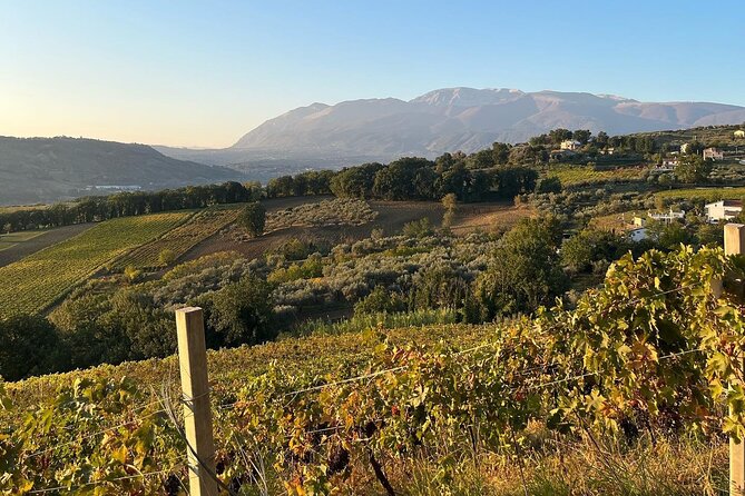 Winery Tour and Tasting in Abruzzo - Traditional Viticulture Practices