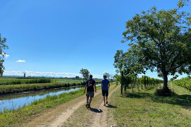 Winery Tour and Tasting in Grado - Discover the Grado Lagoon