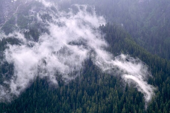 Winter Day Tour to Longmire on Mount Rainier From Seattle - Things To Known