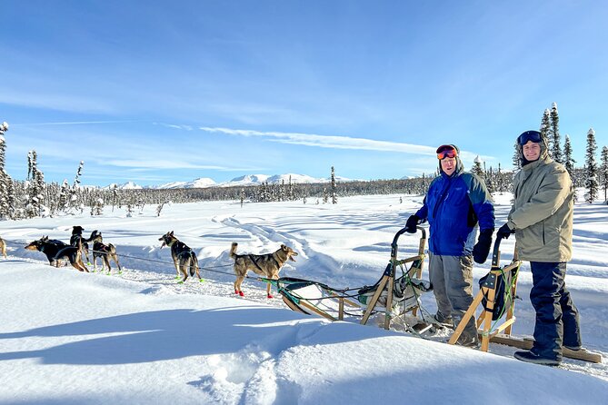 Winter Dog Sled Tour: Day or Night. - Booking and Cancellation