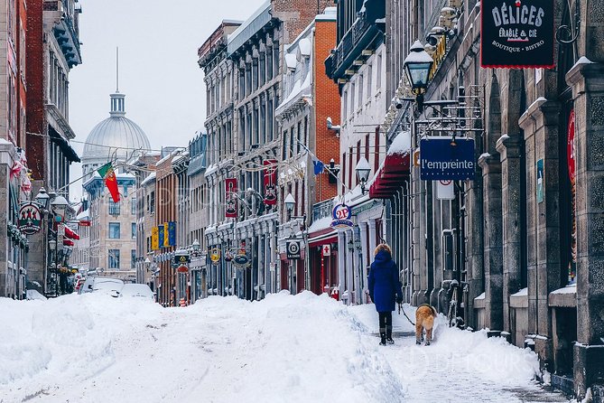 Winter Walking Tour of Old Montreal - Customer Feedback and Insights