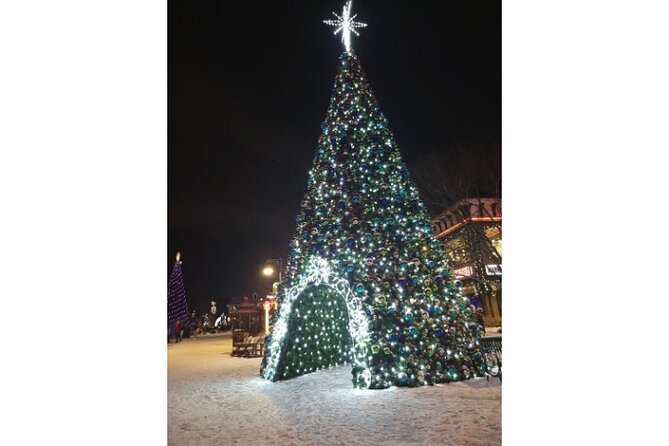 Winterfest Scenic Evening Tour - Guest Reviews