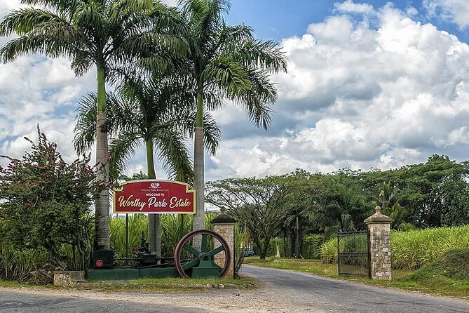 Worthy Park Estate Rum Tour From Ocho Rios - Rum Tasting Experience