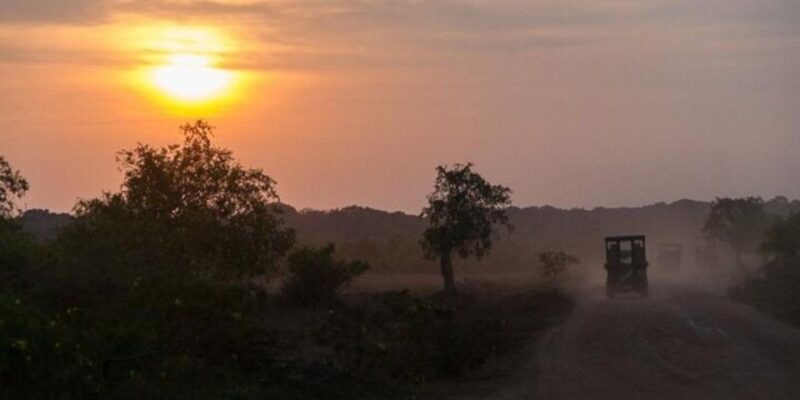 Yala: Night Drive in Yala National Park Buffer Zone! - Tips