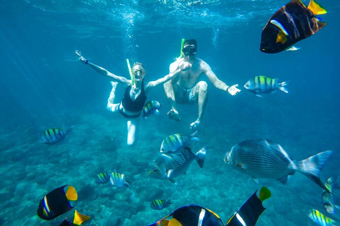 Yelapa Waterfall, BBQ at Exclusive Majahuitas Beach & Open Bar - Guest Feedback
