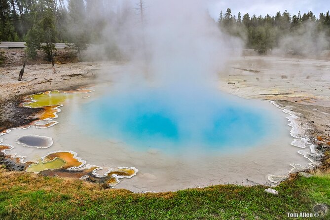 Yellowstone, Grand Teton, and Hot Springs: Small Group 5-Day Tour - Health and Safety Considerations
