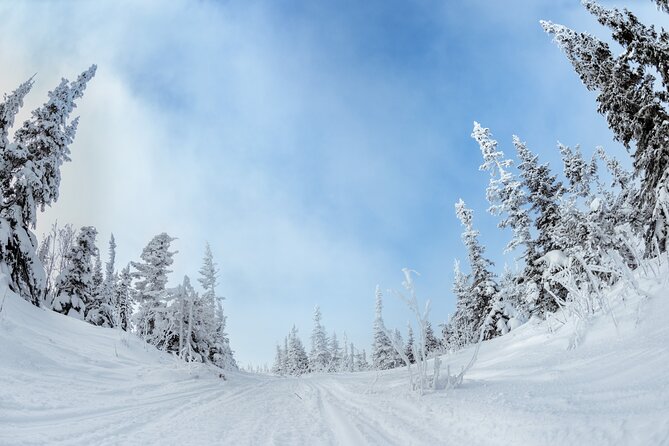 Yellowstone & Grand Teton National Parks Winter Tour: Small Group 4-Day Tour - Pickup and Drop-off Information