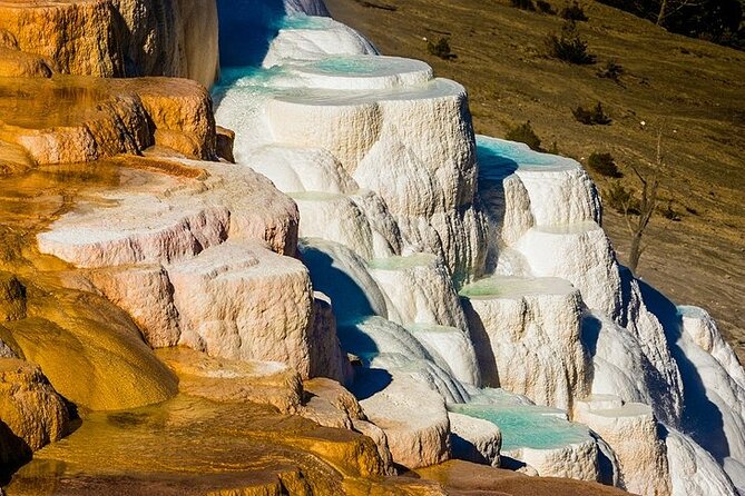 Yellowstone Lower Loop VIP Full-Day Private Tour With Lunch - Booking and Cancellation Policies
