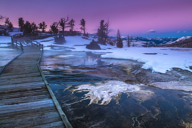 Yellowstone Wolves and Winter 4day/3night Adventure From Montana - Important Travel Information