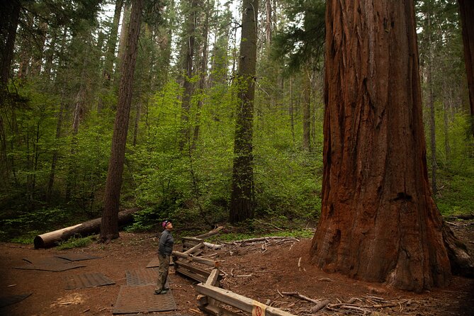 Yosemite Two Day Private Tour and Hike - Exceptional Customer Experiences