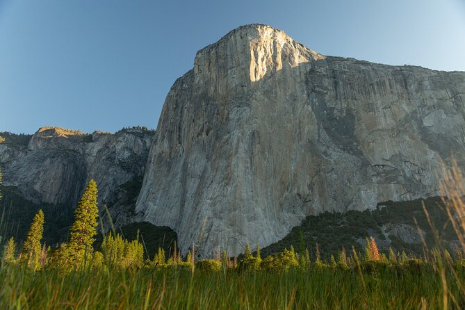 Yosemite Valley Full Day Small Group Tour - Health and Accessibility