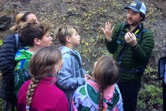 Yosemite's High Country Adaptive Tour - Exceptional Reviews