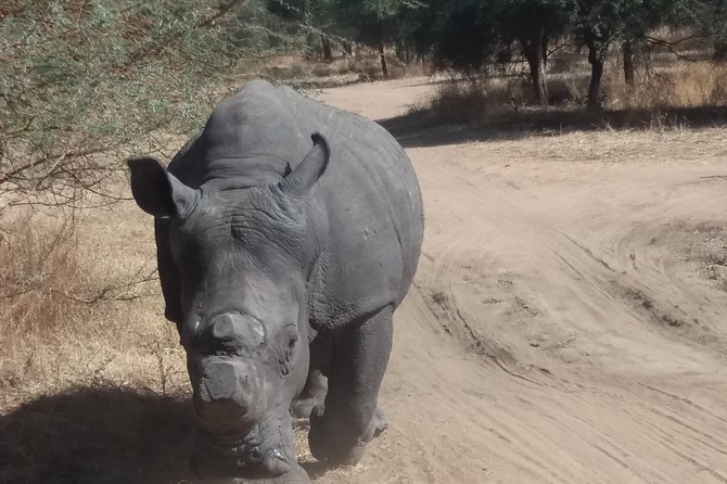 Your Private Driver & Tour Guide in Senegal-Reserve of Bandia - Exploring the Reserve