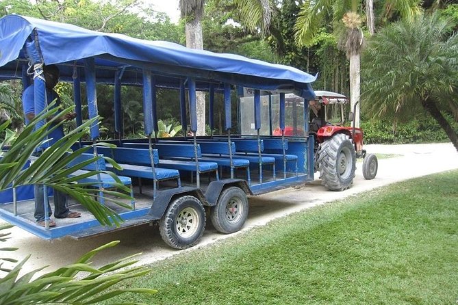 YS Falls and the Pelican Bar Adventure Tour From Ocho Rios - Pickup Information