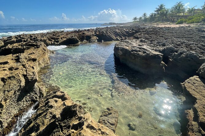 Yunque & Piñones Tour Hike Eat & Adventure With a Local; San Juan - Dining Experience in Piñones