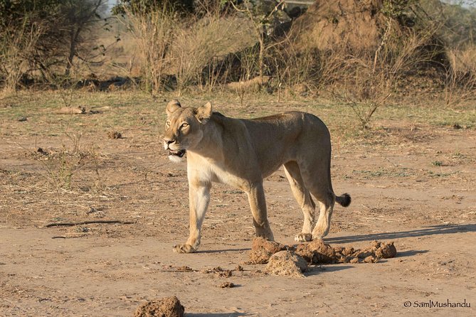Zambezi National Park Game Drive AM /PM - Cancellation Policy Details