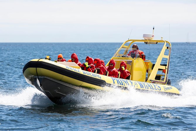 Zodiac Whale Watching Adventure From Victoria - Booking and Pricing Information