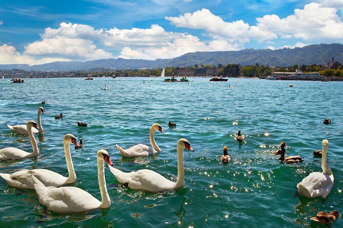 Zurich Scavenger Hunt and Best Landmarks Self-Guided Tour - Confirmation and Participation Details