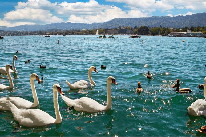 Zurich With Cruise and Lindt Home of Chocolate (Private Tour) - Cancellation Policy