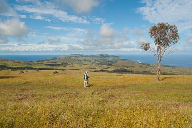 6-Day Private Easter Island Archaeology and Hiking Adventure - Discovering the Moai Mysteries