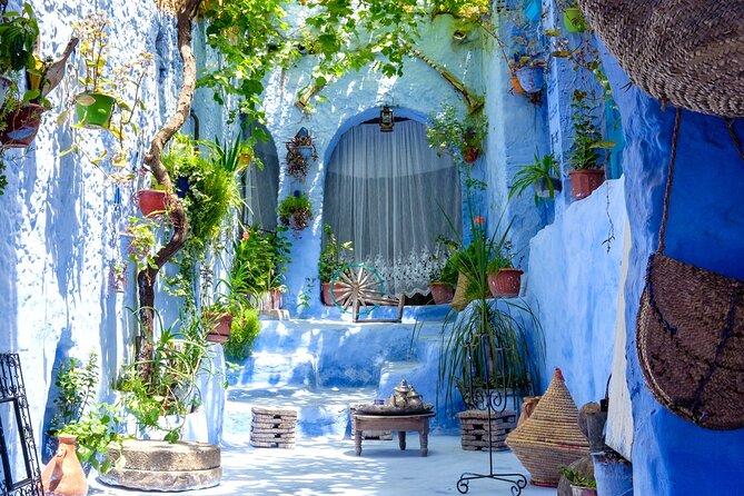 6 Day Tour From Tangier to Chefchaouen Fes and Asilah - Good To Know