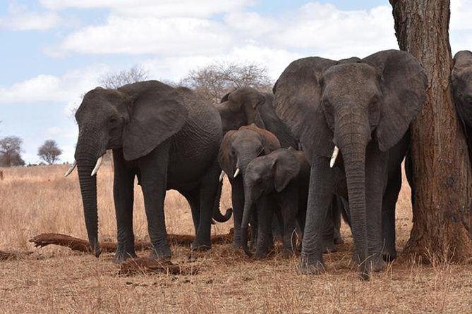 6 Days: Classic Camping( Tarangire, Manyara, Serengeti And Ngorongoro). - Itinerary Breakdown
