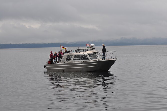 6 Hour Covered Boat Whale Watching Tour - Good To Know