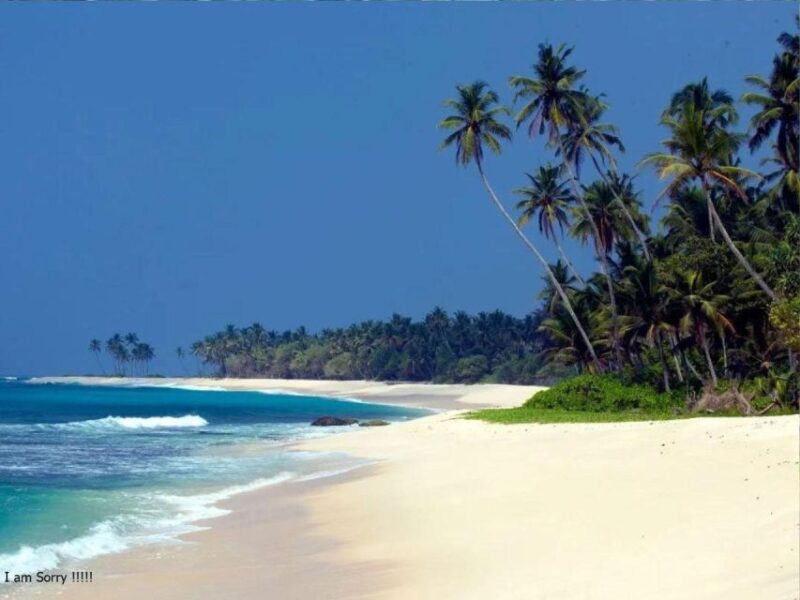 6 Nights 7 Days-Muslim Halal Tour With Yala National Park - Good To Know