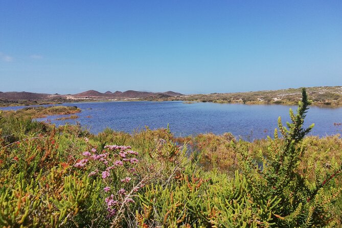 1 Day Hiking Adventure in Isla Lobos - Frequently Asked Questions