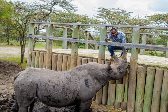 1-Day Ol Pejeta Conservancy Safari - Frequently Asked Questions