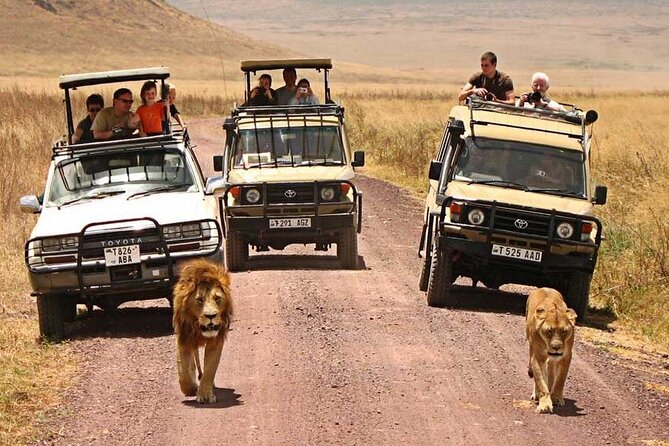 1 Day Private Ngorongoro Crater Safari - Customer Reviews