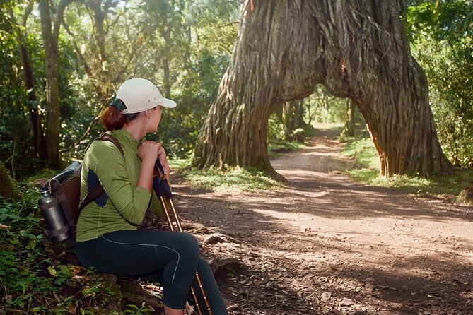 1 Day Short 4x4 Safari: ARUSHA NATIONAL PARK Incl. Lodge-Lunch - Reviews and Ratings