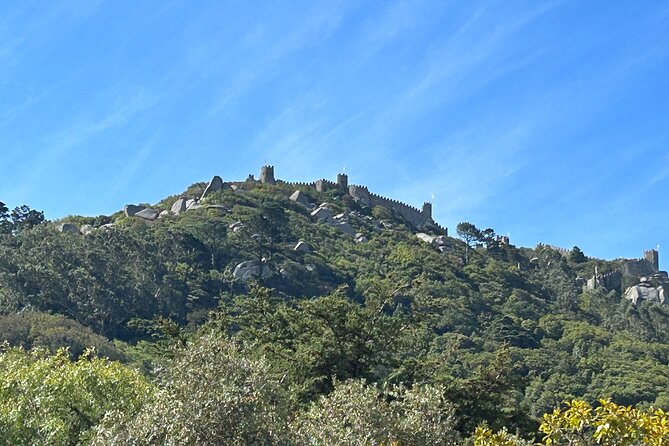 1 Hour Private Sintra Sightseeing Tour by Renault 4L - Customer Reviews