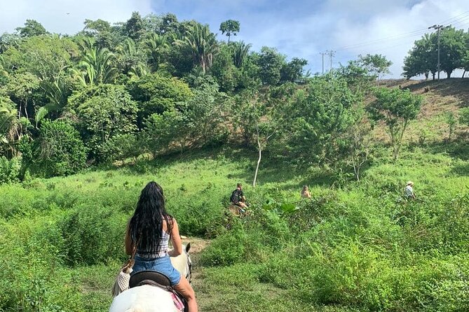 1 HR Horseback Riding + Sloths, Island Tour & Beach Break - Booking and Logistics