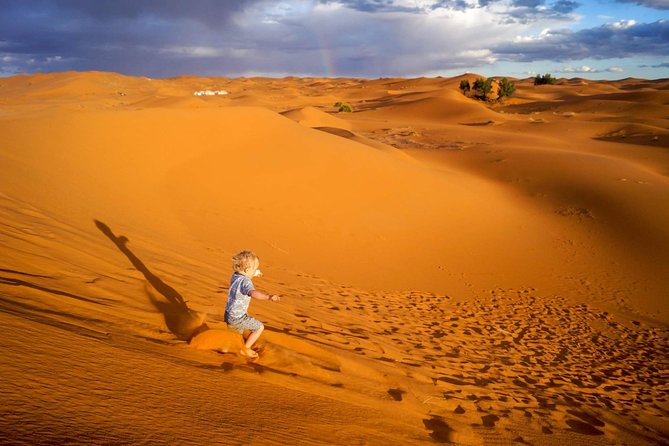 1 Night All Inclusive Camel Ride & Desert Camp - Customer Feedback and Booking
