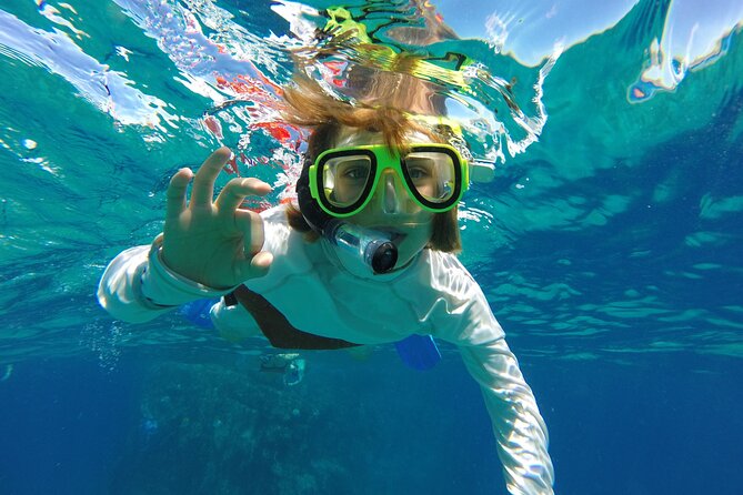 #1 Snorkeling Tour in Catamaran. Open Bar & Snacks Included - What Youll Do