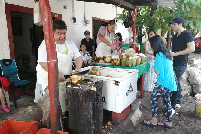 1 to 6 Passengers Vallarta Private City Tour - Exploring Puerto Vallartas Attractions