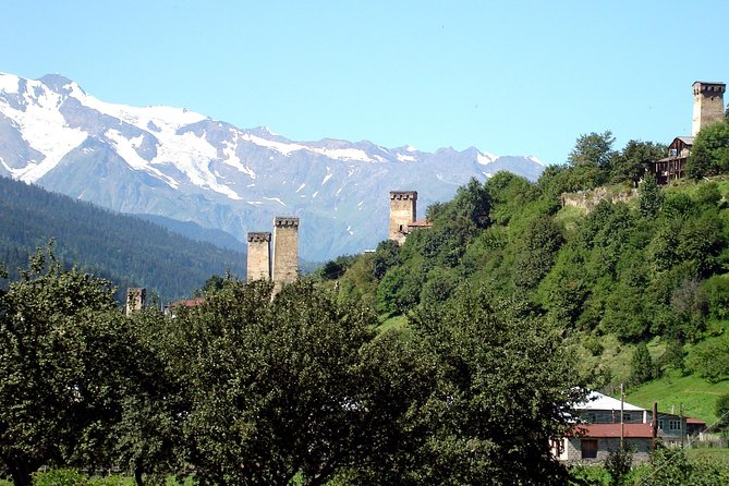 10-Day Tour to Georgia, Tbilisi: Caucasus Mountains and Black Sea - Traveler Testimonials