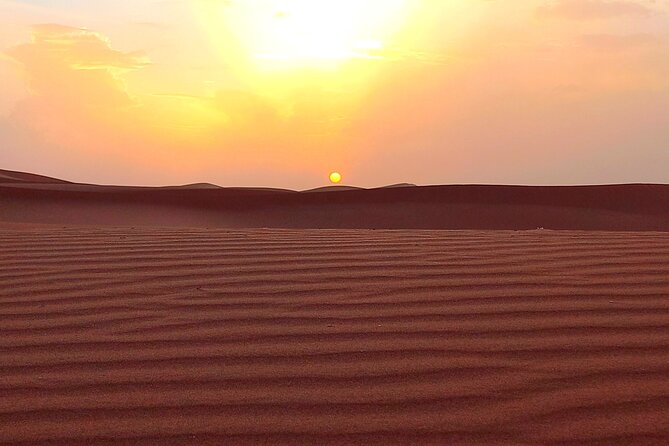 12-Day Private Moroccan Cities and Deserts Tour - Reviews and Testimonials