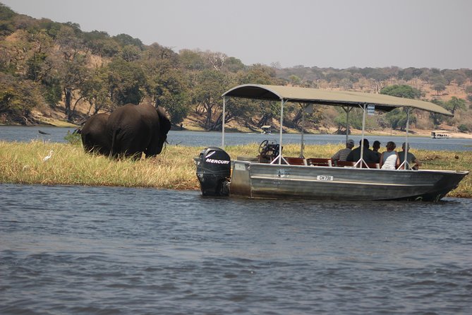 2-Day Camping Safari in Chobe National Park From Victoria Falls - Additional Information