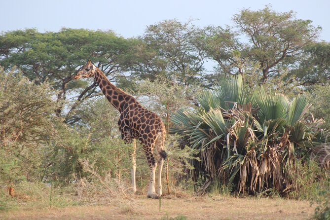 2 Day Lake Mburo National Park Wildlife Safari - Pricing Information and Cancellation Policy