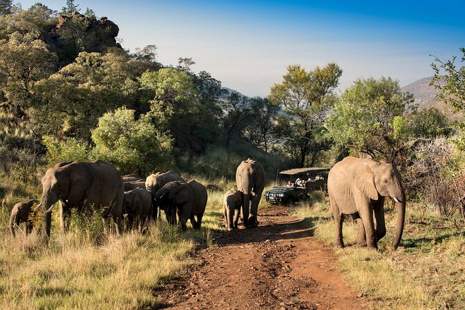 2 Day Pilanesberg Camping Safari - Important Guidelines