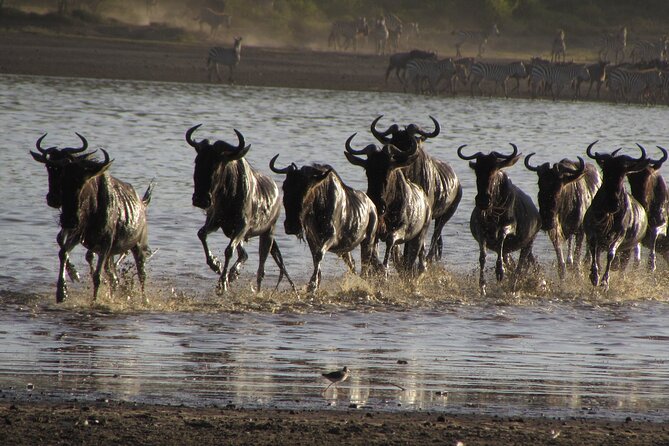 2-Day Sublime Safari to Tarangire and Ngorongoro Safari - Preparing for the Adventure
